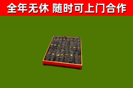 沧州市回收海参